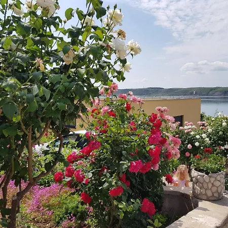 Zlata Appartement Ražanac