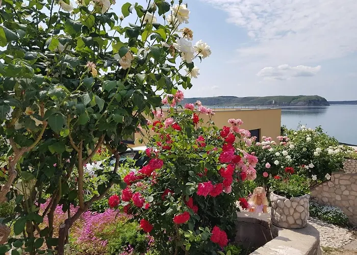 Zlata Apartamento Ražanac